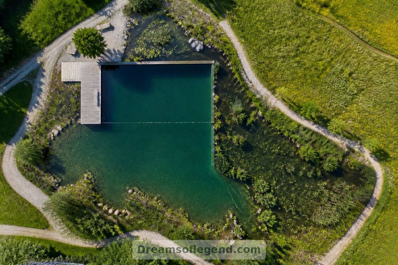 This conceptual aerial view distinguishes the swimming area, planted regeneration zone and garden paths.
